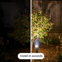 Before and after comparison of a tree illuminated by a light fixture.