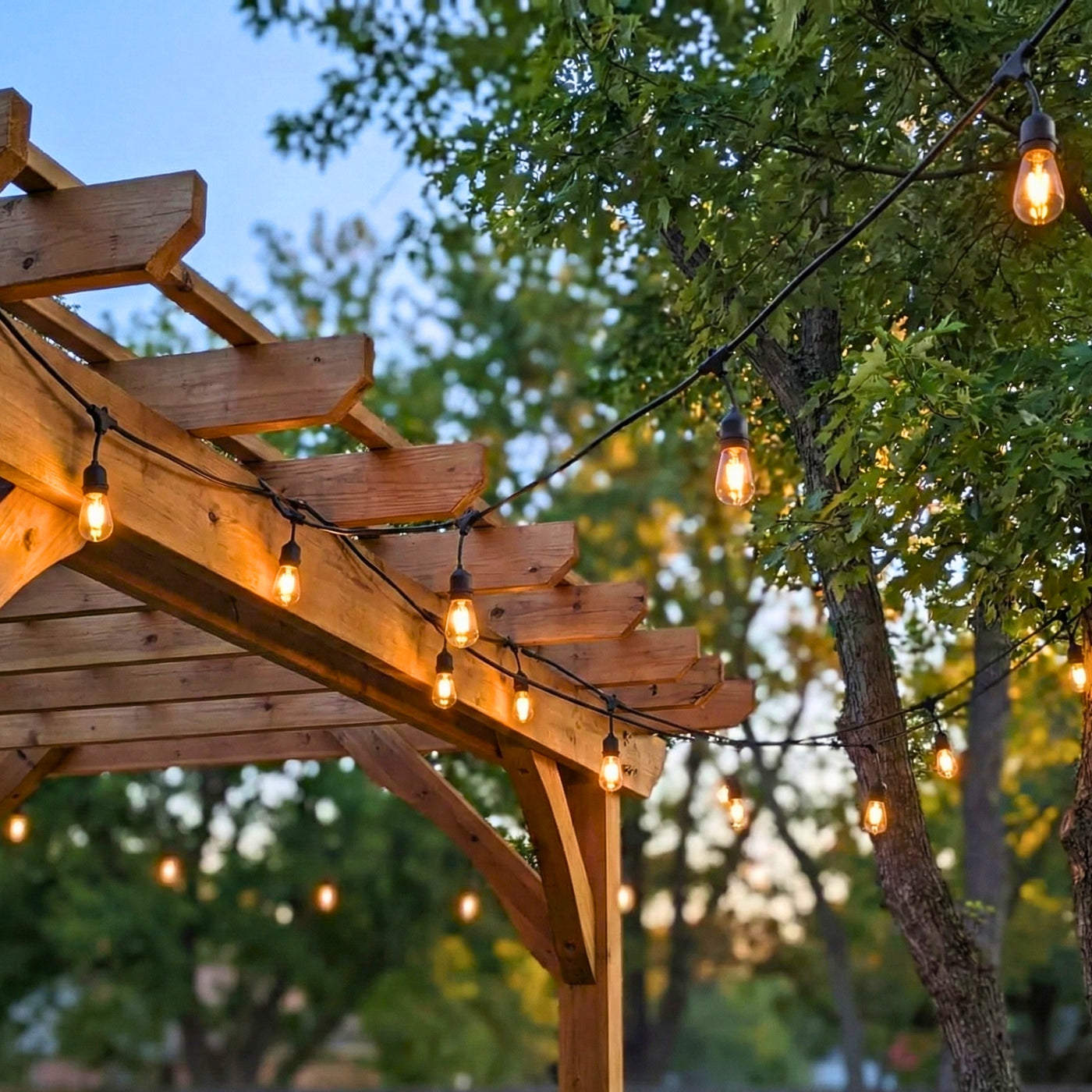 Deluxe Solar Light Bundle – 25 Lights | SolaGarden